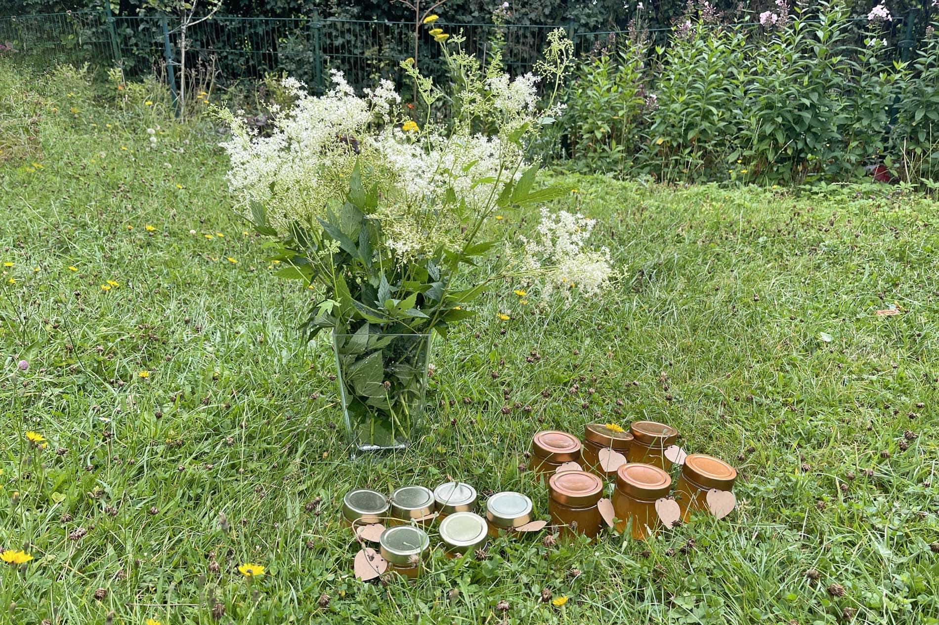 Mädesüß-Strauss auf einer Wiese - davor Marmeladengläser mit Mädesüß Gelee